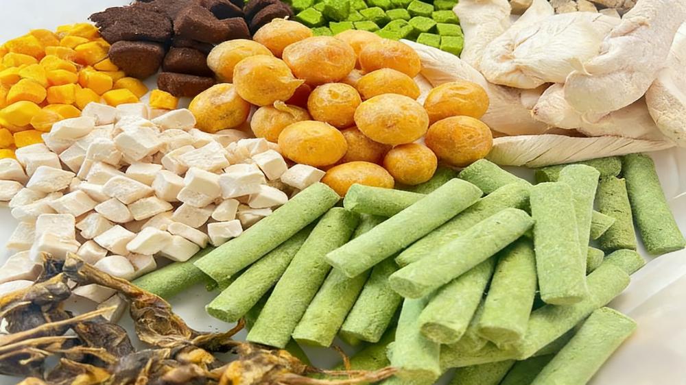 The Post-Dry Food Era: Why Freeze-Drying Technology Is Inevitable for Middle Eastern Pet Retail(图1)