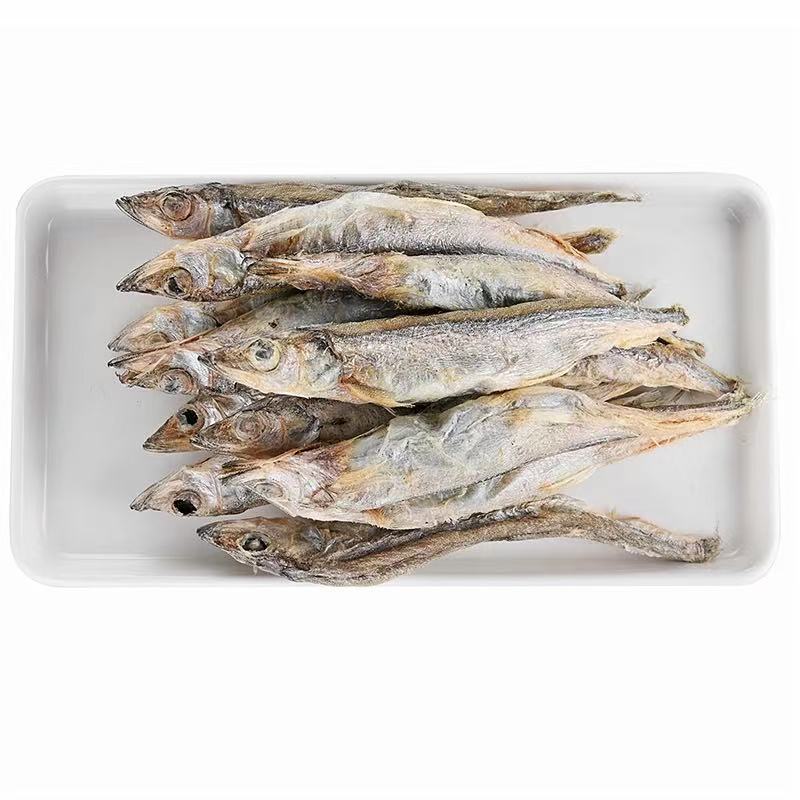 Freeze-Dried Capelin-img-3
