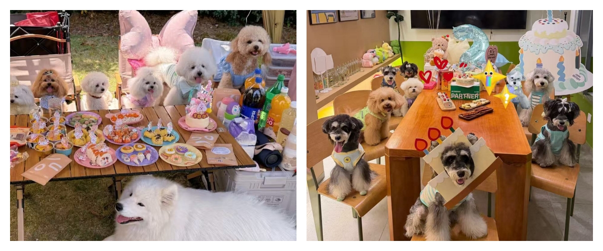 Turning "Snacks" into "Social Currency" with Custom Freeze-Dried Desserts