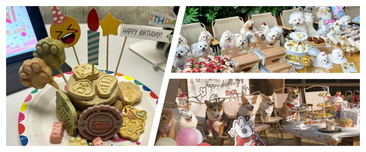 Turning "Snacks" into "Social Currency" with Custom Freeze-Dried Desserts(图3) Turning "Snacks" into "Social Currency" with Custom Freeze-Dried Desserts(图2)