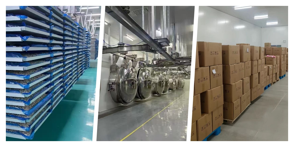 How We Delivered a 40ft Container in 15 Days to Save a Client’s Q4 Season