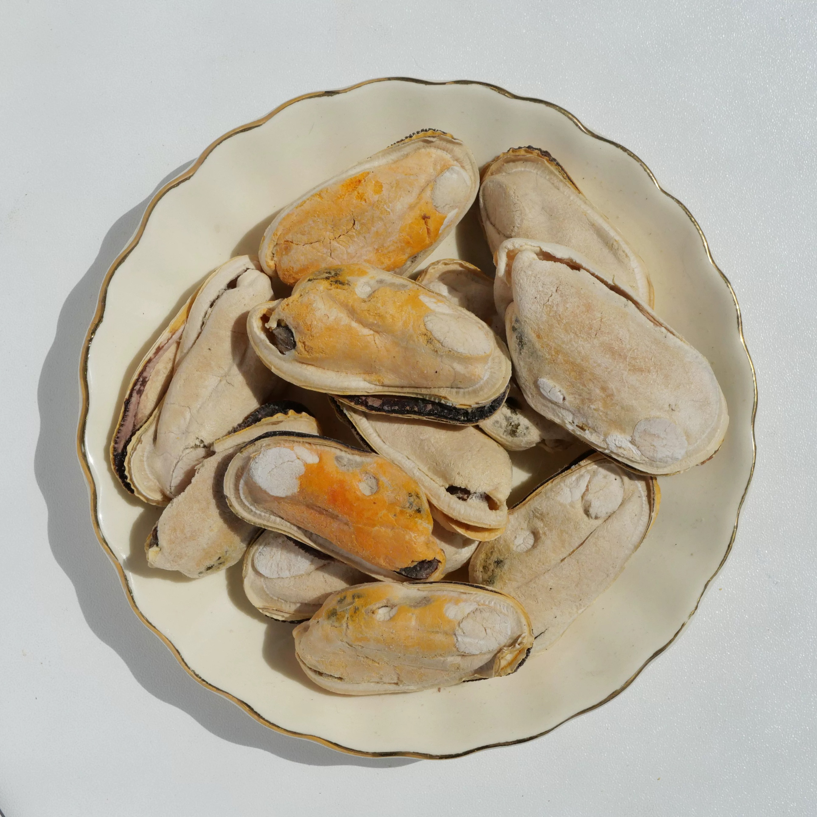 Freeze-Dried Green-Lipped Mussels-img-4