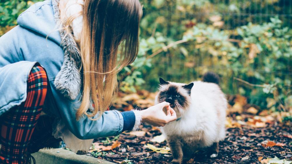 The "Spring Shedding" Opportunity: 3 Functional Freeze-Dried SKUs Your Inventory Needs Now(图1) The "Spring Shedding" Opportunity: 3 Functional Freeze-Dried SKUs Your Inventory Needs Now(图1)