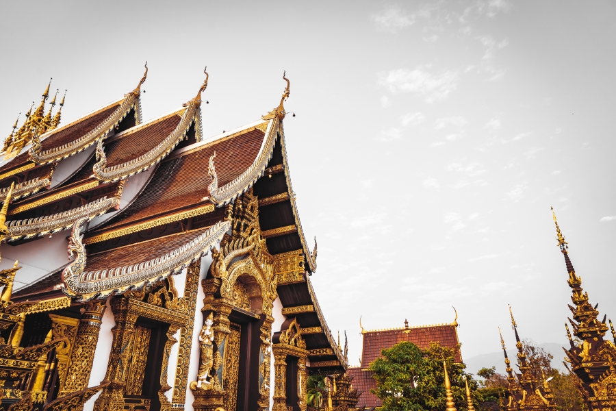 Case Study: Navigating Strict Regulations to Launch a Premium Freeze-Dried Treat Line in Thailand